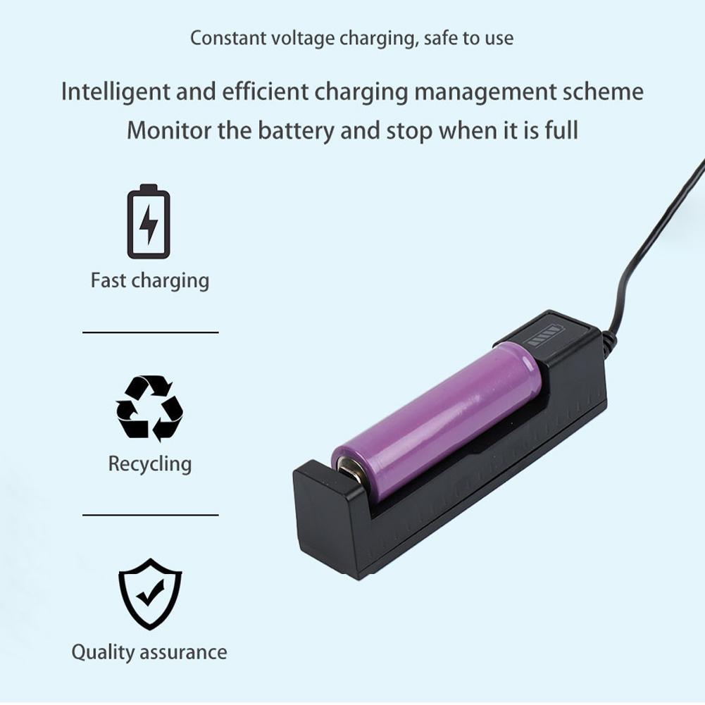 Universal 18650 Battery Charge - Balance Charger Rc recension och pris